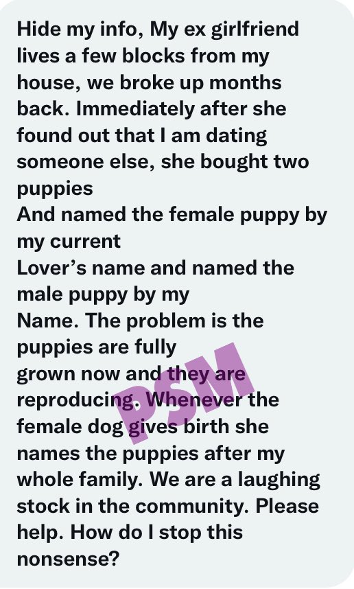 My ex-girlfriend named her dogs after everybody in my family - Man laments - FkhY3wfWAAQP o8