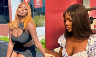 Vendor calls out Influencer Papaya Ex for not promoting her business two weeks after receiving payment - fanciee call out papaya ex 1
