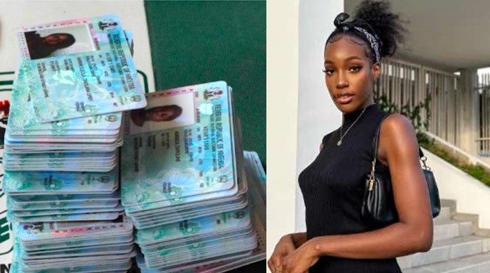 Use all that energy to vote the right person - Paul Okoye's girlfriend advises Nigerians insulting her - ivy ifeoma pvc vote 1