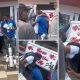 Man proposes to lover at hospital after she gave birth to baby boy (Video) - man propose lover give birth 1