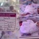 UNIZIK lecturer gives birth to seven babies - anambra lecturer septuplets ft 1