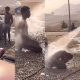 Confusion as young Benz owner strips, asks car wash attendant to bath him (Watch video) - benz car wash strips 1