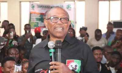 Any 'snake' that swallows money under my administration must vomit it - Peter Obi - peter obi snake vomit