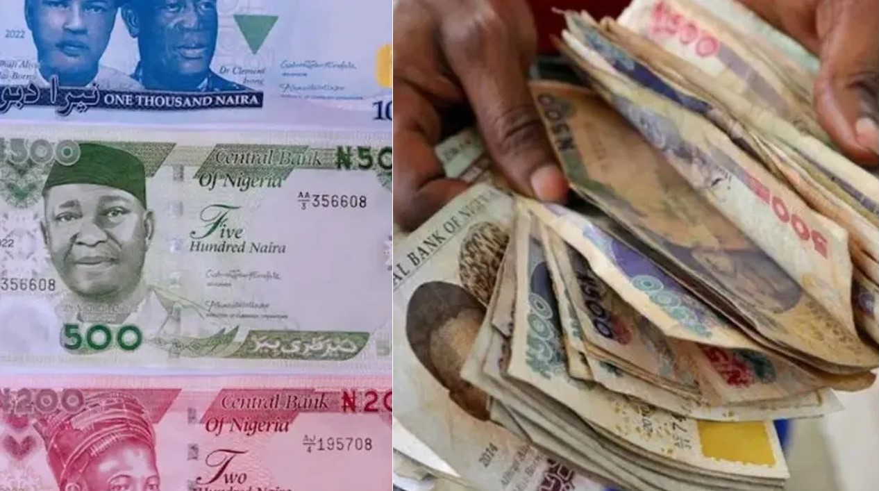 How to Deposit Your Old Naira Notes At CBN: Step By Step Guide