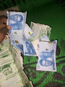 Man laments bitterly, punishes rat for eating his new naira notes - man rat ate new note
