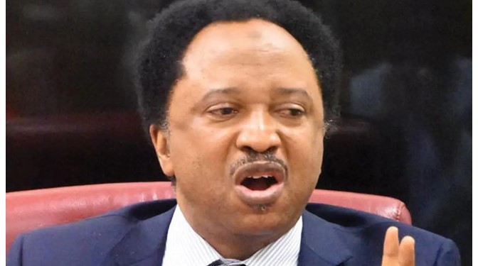 Nigerians are neither protesting nor jubilating – Shehu Sani speaks on state of the nation