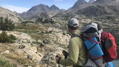 The Joy of Hiking: Exploring Nature's Beauty