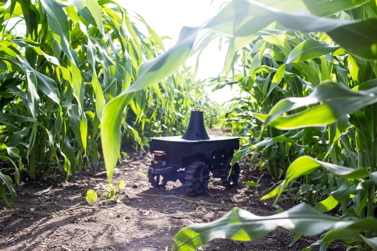 The Role of Robotics in Agriculture: Innovations in Farming