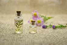 Aromatherapy: Essential Oils to Nourish Your Skin