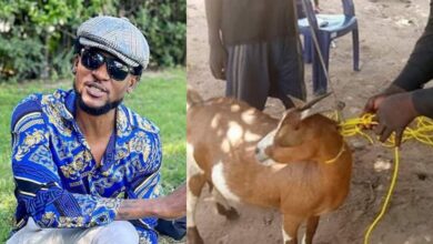 Omashola BBNaija live goat