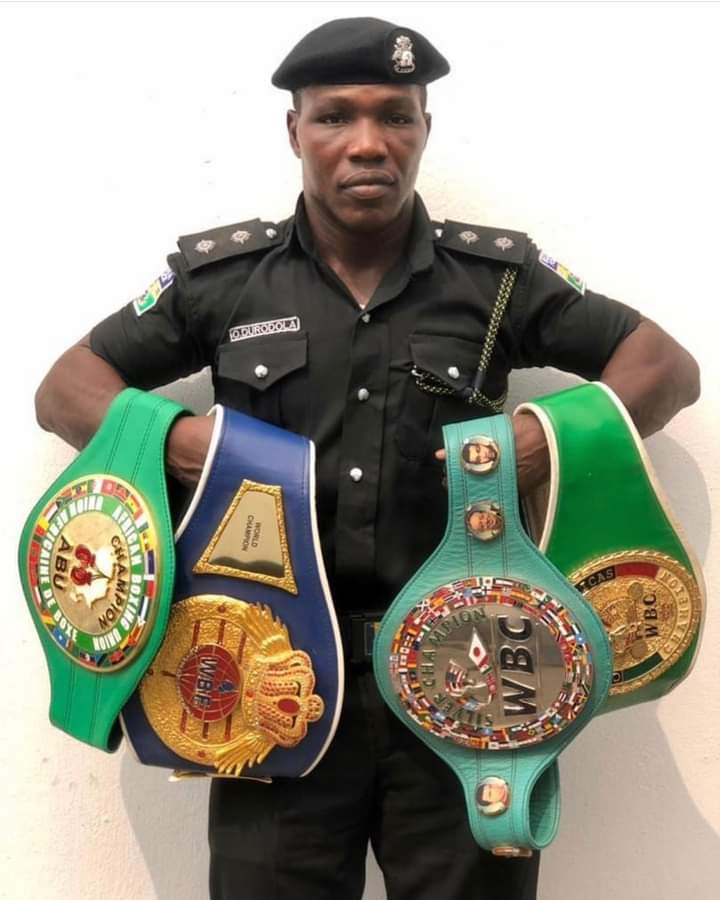 Police boxer