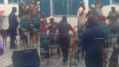 Man storm church with dogs