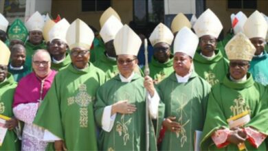 Nigerian Catholic Bishops same sex union