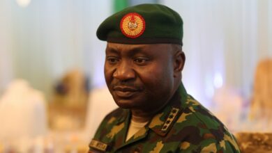 Nigerians must stay back to fight challenges Defence Chief