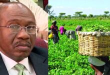 Emefiele naira redesign farmers