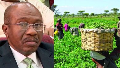 Emefiele naira redesign farmers