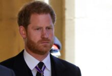 Prince Harry UK not safe for family