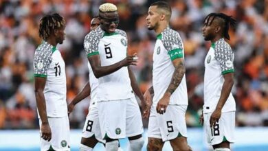 I know where Osimhen will play next season – Troost-Ekong