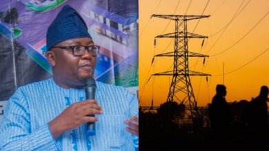 Nigerians to enjoy improved electricity supply in six months - Power minister