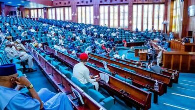House of Reps move to grant 5-month mourning leave to widows