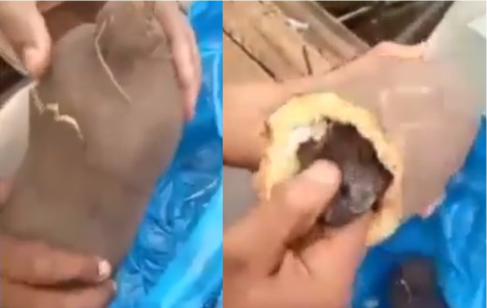 Man finds hard drug inside yam his friend asked him to take abroad (Video)