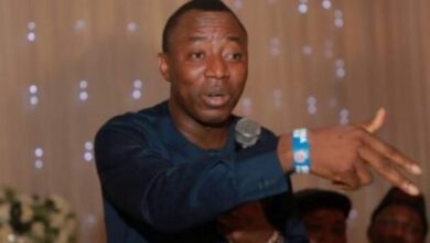 Senate should be scrapped, its a coven of thieves - Sowore