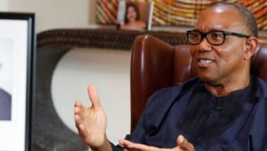 I support Tinubu's electricity tariff hike for affluent consumers - Peter Obi