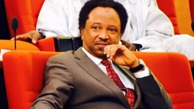 How my friend ended up marrying lady who owned wrong number his crush gave him - Shehu Sani