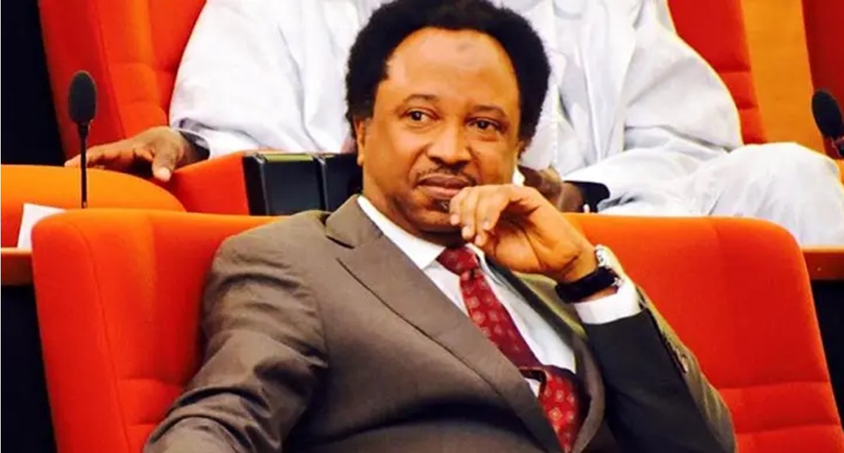 How my friend ended up marrying lady who owned wrong number his crush gave him – Shehu Sani