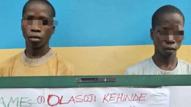 Twin brothers arrested over alleged burglary, theft in Ekiti