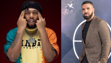 Drake makes rap easy and enjoyable - Dandizzy