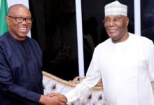 Merger: You can’t win 2027 presidential election without Obidients - Sam Amadi warns Peter Obi