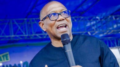 Why is budget for National Assembly car parks N6bn - Peter Obi fumes