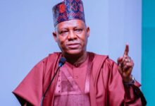 FG's policies formulated with best interest of Nigerians in mind - Shettima