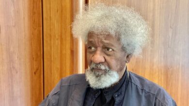 People who are supposed to be on trial are in high political positions - Soyinka