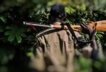 Hunter accidentally shoots colleague dead in forest