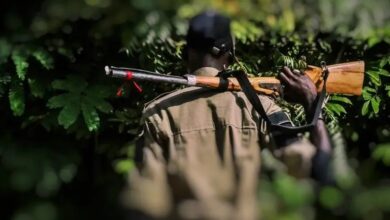 Hunter accidentally shoots colleague dead in forest